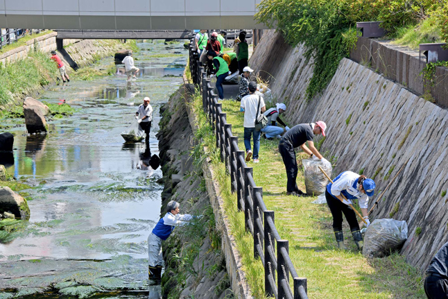 クリーンリバー寝屋川の活動